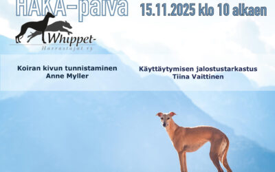 HAKA-päivä 15.11.2025